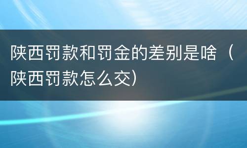 陕西罚款和罚金的差别是啥（陕西罚款怎么交）