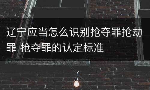 辽宁应当怎么识别抢夺罪抢劫罪 抢夺罪的认定标准