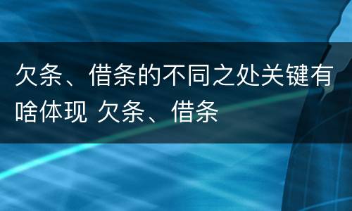 欠条、借条的不同之处关键有啥体现 欠条、借条