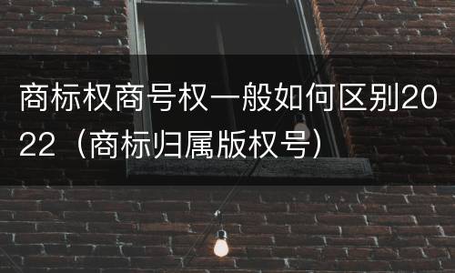 商标权商号权一般如何区别2022（商标归属版权号）