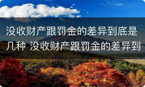没收财产跟罚金的差异到底是几种 没收财产跟罚金的差异到底是几种情形