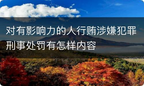 对有影响力的人行贿涉嫌犯罪刑事处罚有怎样内容