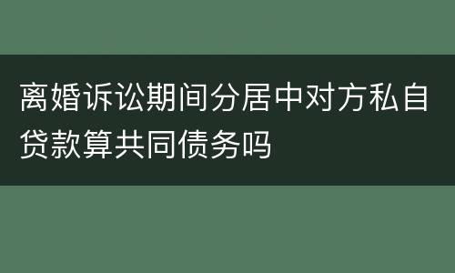 离婚诉讼期间分居中对方私自贷款算共同债务吗