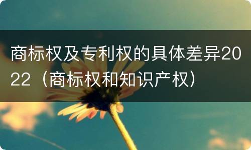 商标权及专利权的具体差异2022（商标权和知识产权）