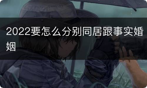 2022要怎么分别同居跟事实婚姻