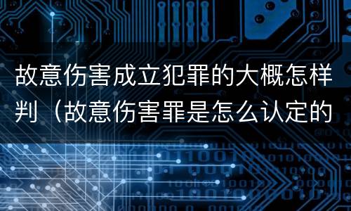 故意伤害成立犯罪的大概怎样判（故意伤害罪是怎么认定的）