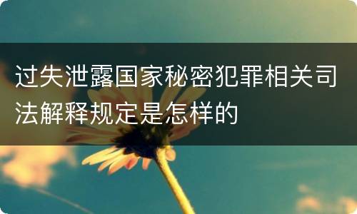 过失泄露国家秘密犯罪相关司法解释规定是怎样的