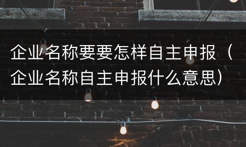 企业名称要要怎样自主申报（企业名称自主申报什么意思）