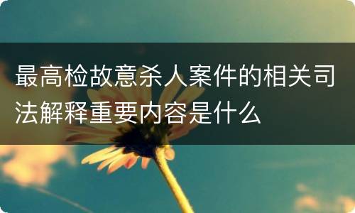 最高检故意杀人案件的相关司法解释重要内容是什么