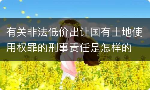 有关非法低价出让国有土地使用权罪的刑事责任是怎样的