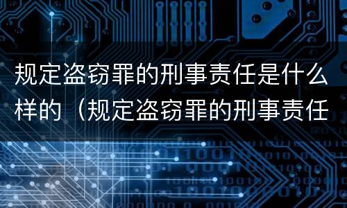规定盗窃罪的刑事责任是什么样的（规定盗窃罪的刑事责任是什么样的案件）