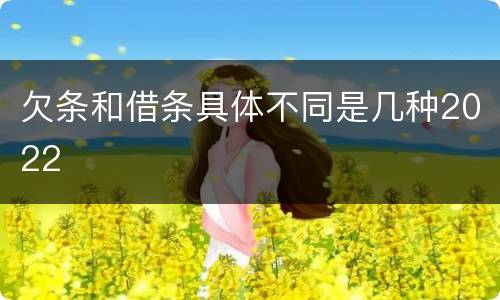 欠条和借条具体不同是几种2022