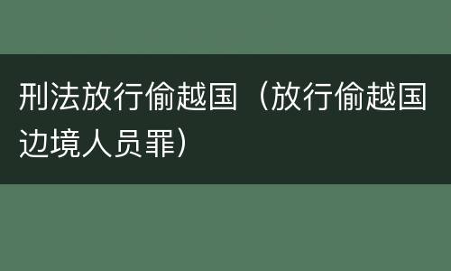 刑法放行偷越国（放行偷越国边境人员罪）