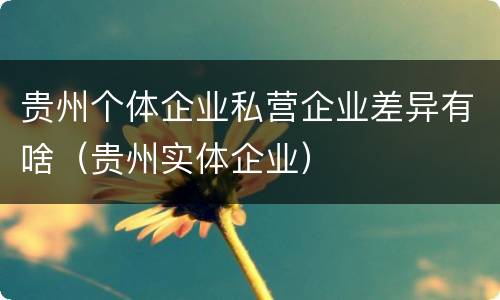 贵州个体企业私营企业差异有啥（贵州实体企业）