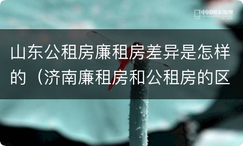 山东公租房廉租房差异是怎样的（济南廉租房和公租房的区别）