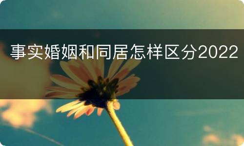 事实婚姻和同居怎样区分2022