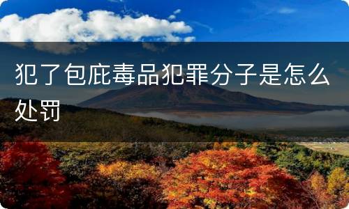 犯了包庇毒品犯罪分子是怎么处罚