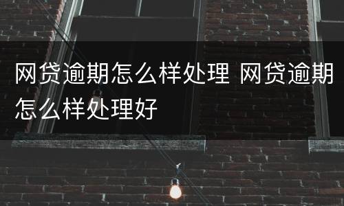 网贷逾期怎么样处理 网贷逾期怎么样处理好