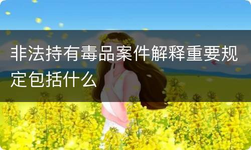 非法持有毒品案件解释重要规定包括什么