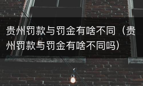 贵州罚款与罚金有啥不同（贵州罚款与罚金有啥不同吗）