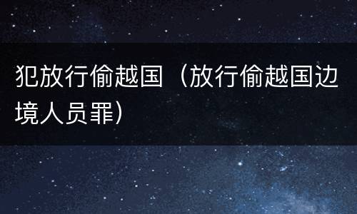 犯放行偷越国（放行偷越国边境人员罪）