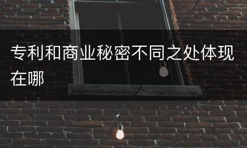 专利和商业秘密不同之处体现在哪
