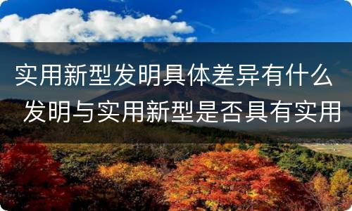 实用新型发明具体差异有什么 发明与实用新型是否具有实用性