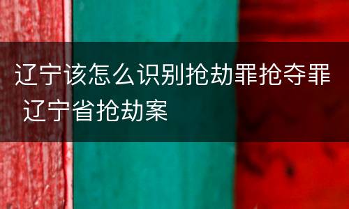 辽宁该怎么识别抢劫罪抢夺罪 辽宁省抢劫案