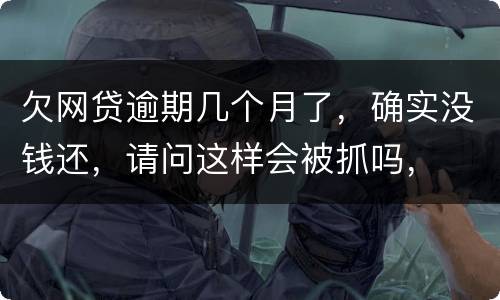 欠网贷逾期几个月了，确实没钱还，请问这样会被抓吗，