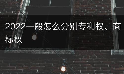2022一般怎么分别专利权、商标权