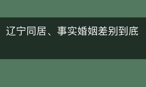 辽宁同居、事实婚姻差别到底