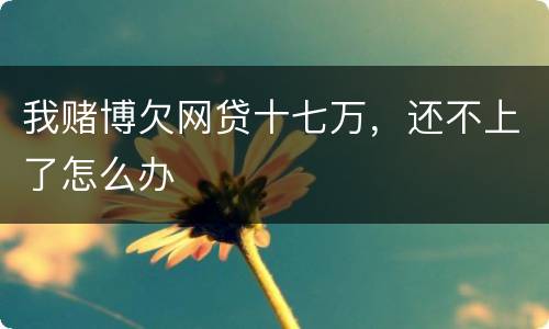 我赌博欠网贷十七万，还不上了怎么办