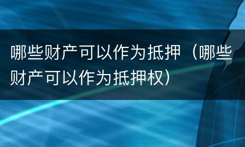 哪些财产可以作为抵押（哪些财产可以作为抵押权）