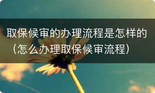 取保候审的办理流程是怎样的（怎么办理取保候审流程）