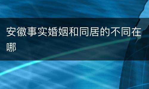 安徽事实婚姻和同居的不同在哪