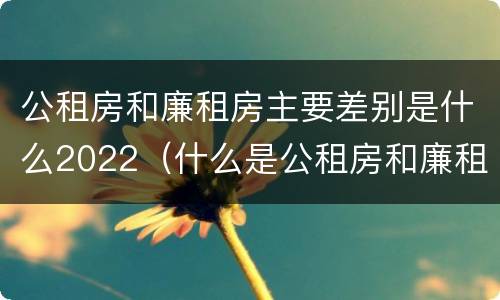 公租房和廉租房主要差别是什么2022（什么是公租房和廉租房?）