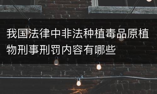 我国法律中非法种植毒品原植物刑事刑罚内容有哪些