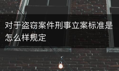 对于盗窃案件刑事立案标准是怎么样规定