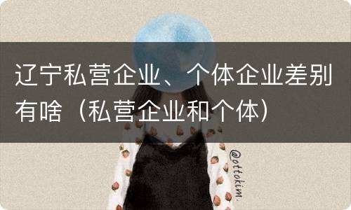 辽宁私营企业、个体企业差别有啥（私营企业和个体）
