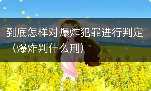 到底怎样对爆炸犯罪进行判定（爆炸判什么刑）