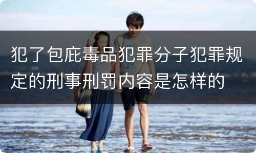 犯了包庇毒品犯罪分子犯罪规定的刑事刑罚内容是怎样的