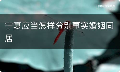 宁夏应当怎样分别事实婚姻同居