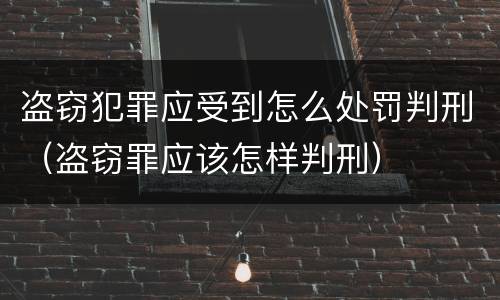 盗窃犯罪应受到怎么处罚判刑（盗窃罪应该怎样判刑）