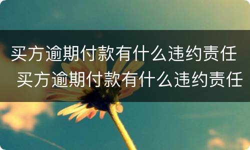 买方逾期付款有什么违约责任 买方逾期付款有什么违约责任嘛