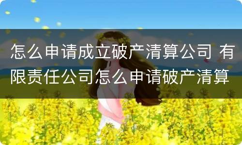 怎么申请成立破产清算公司 有限责任公司怎么申请破产清算