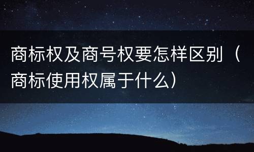 商标权及商号权要怎样区别（商标使用权属于什么）