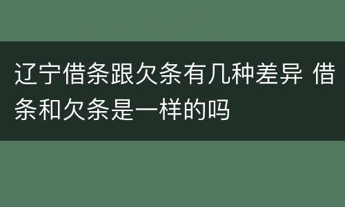 辽宁借条跟欠条有几种差异 借条和欠条是一样的吗