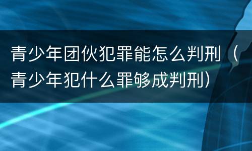 青少年团伙犯罪能怎么判刑（青少年犯什么罪够成判刑）