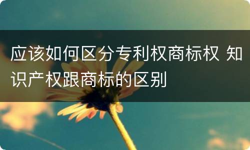 应该如何区分专利权商标权 知识产权跟商标的区别