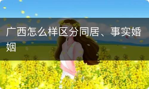 广西怎么样区分同居、事实婚姻